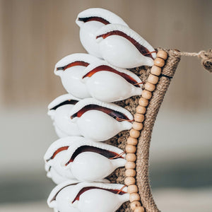 Collier Papou Ethnique Coquillages Ovula Ovum