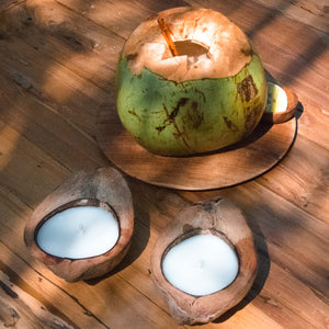 Bougie Noix de coco Bali